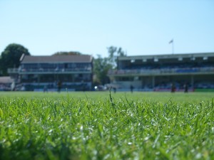 I fell out of my chair again