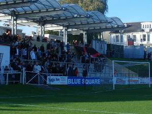 Bonfire night fireworks