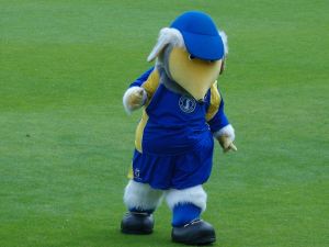 SAMSUNG DIGITAL CAMERA