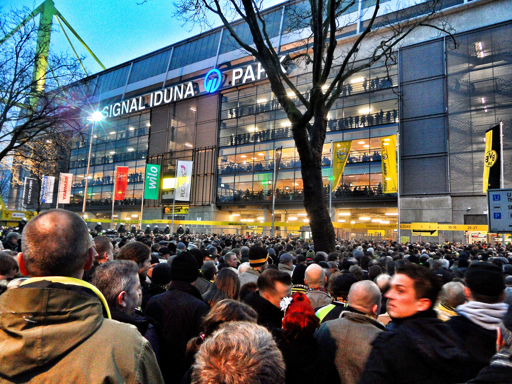 8481846135_2f88012102_b