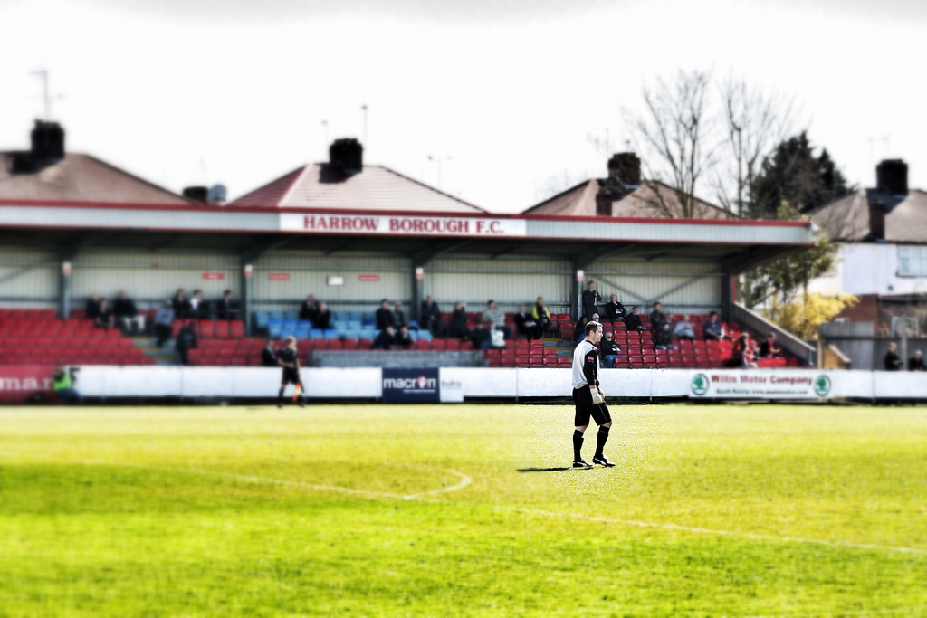 8665795213_87ca887f26_b