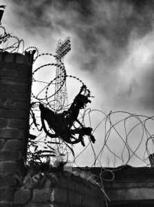 12160533284_fc7dc9a1a6_b