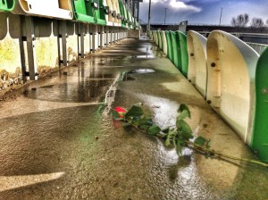 12544128995_53187b8cdf_b